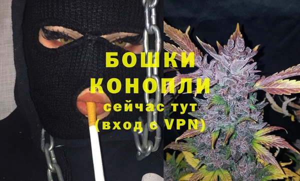 дурь Снежногорск